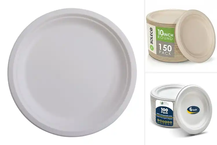 Detailed view of 3 Best SFI-Certified Paper Plates For Eco-Conscious Dining