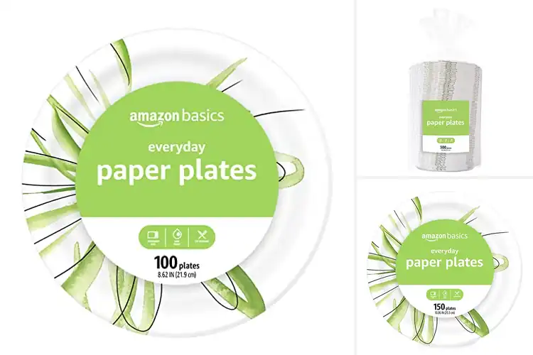 Detailed view of 10 Best SFI Certified Paper Plates: Eco & Easy