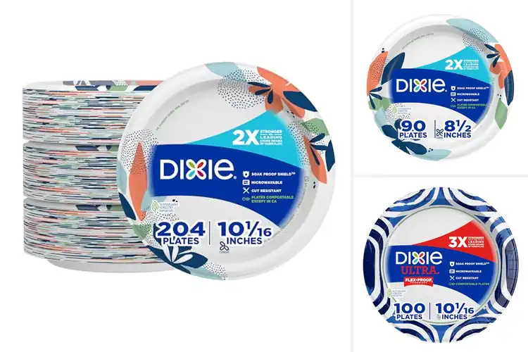 Detailed view of 10 Best Soak-Proof Paper Plates: Enjoy Mess-Free Meals