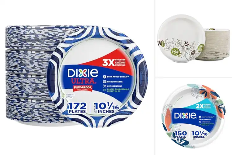 Detailed view of 10 Best Soak Proof Shield 10 Inch Plates: Mess-Free Dining