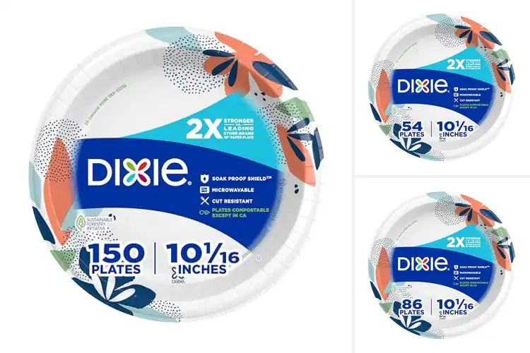 Detailed view of 5 Best Soak Proof Shield 10Inch Plates For Saucy Dishes Now