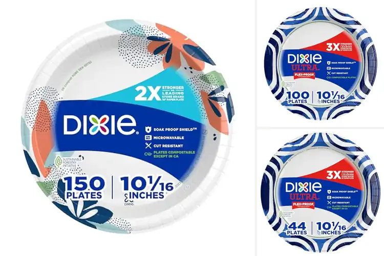 Detailed view of 10 Best Strength Dixie 10In Paper Plates For Heaviest Meals