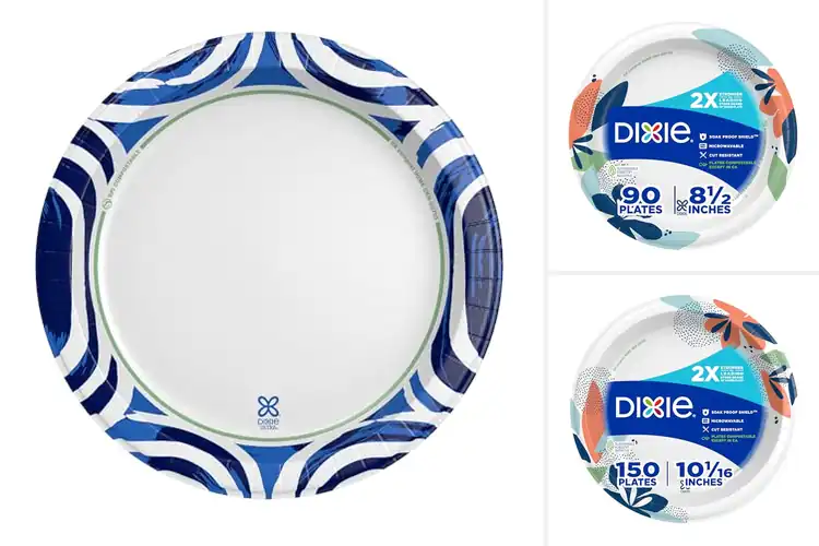 Detailed view of 10 Best Strong Paper Plate: Soak-Proof & Durable