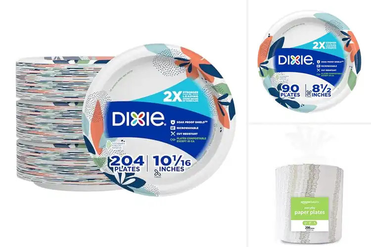 Detailed view of 10 Best Strong Paper Plates for Everyday Use: No Leaks