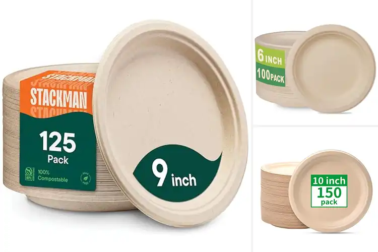 Detailed view of 10 Best Sustainable Paper Plates: Eco & Strong