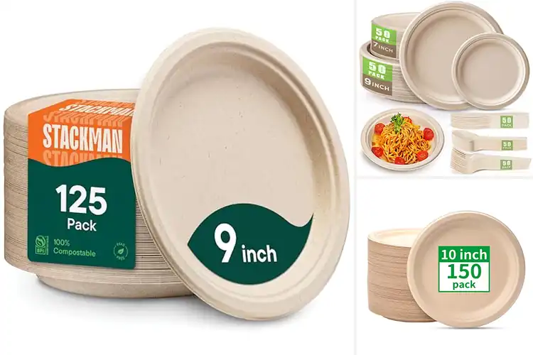 Detailed view of 10 Best Sustainable Plates for Eco Picnics