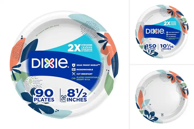 Detailed view of 10 Best Two Times Stronger Paper Plates: Stain-Resistant