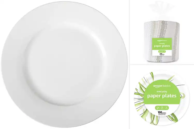 Detailed view of 10 Best Versatile Everyday Plates for Every Dish