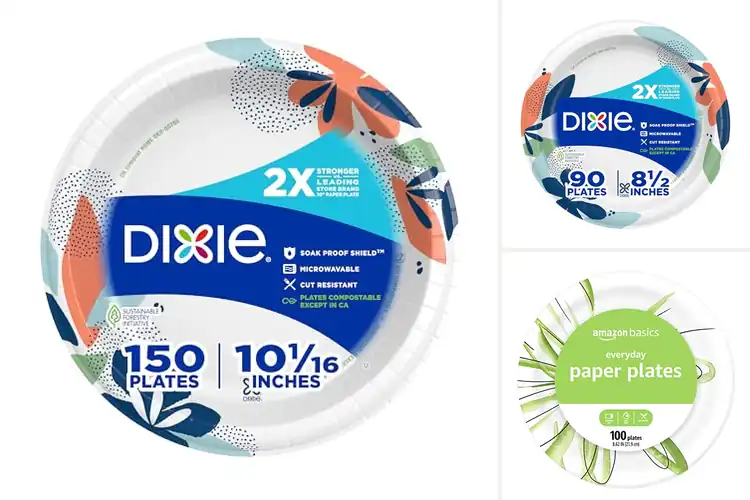 Detailed view of 10 Best Versatile Paper Plates For Breakfast Lunch Dinner