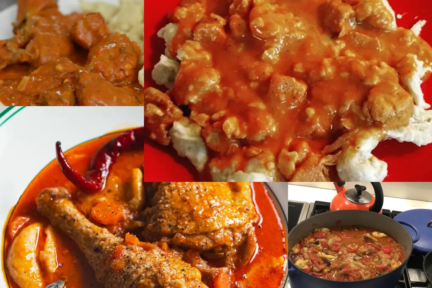 Photo of Best Chicken Paprikash with Dumplings Recipes for Comfort & Flavor