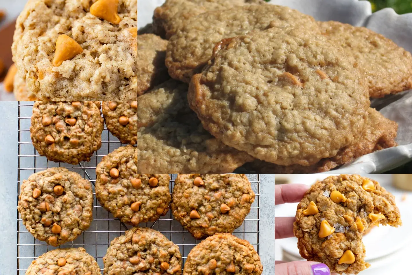 Photo of 13 Irresistible Oatmeal Scotchies Recipes to Bake Today