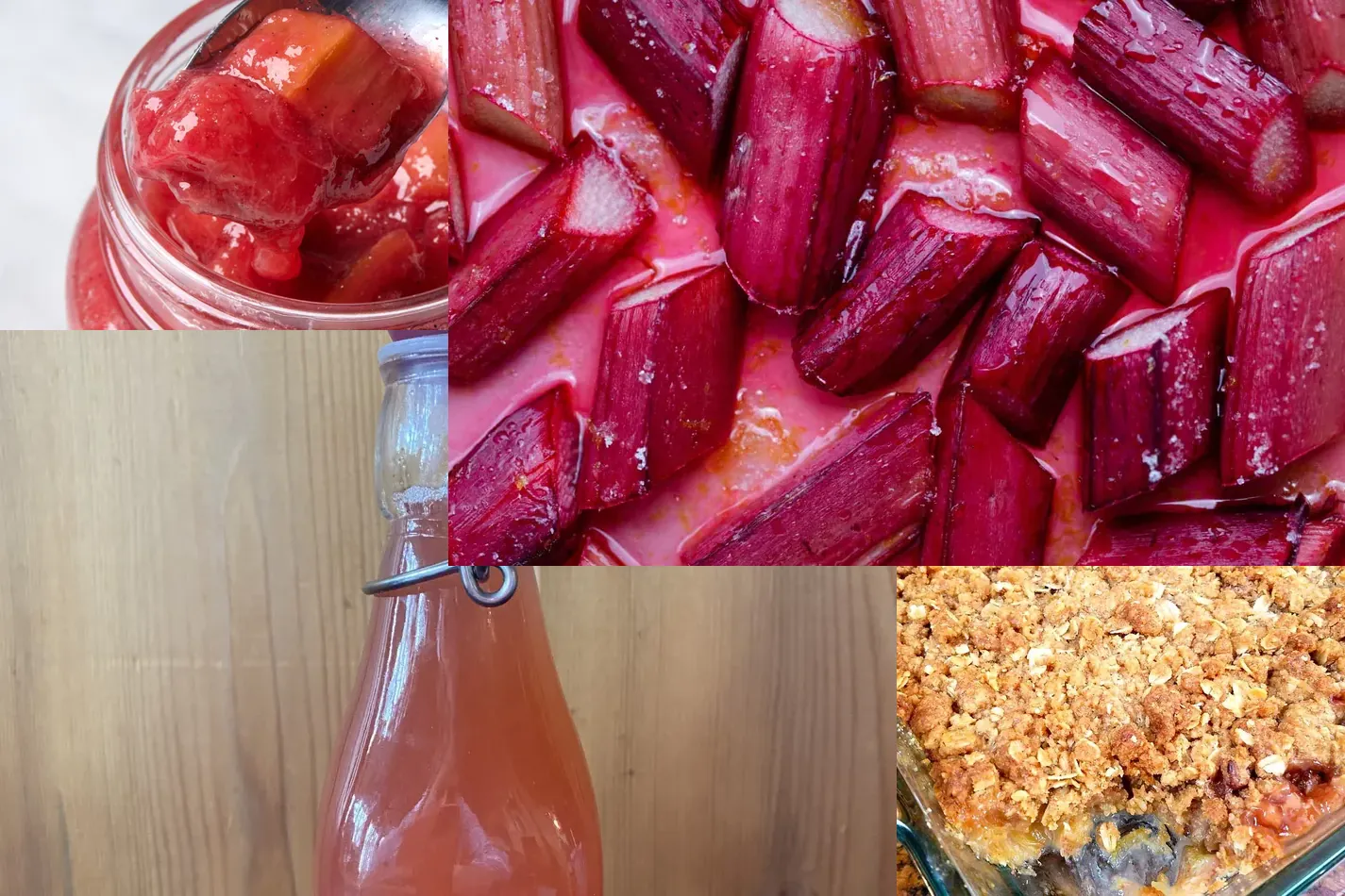 Photo of Rhubarb Recipes