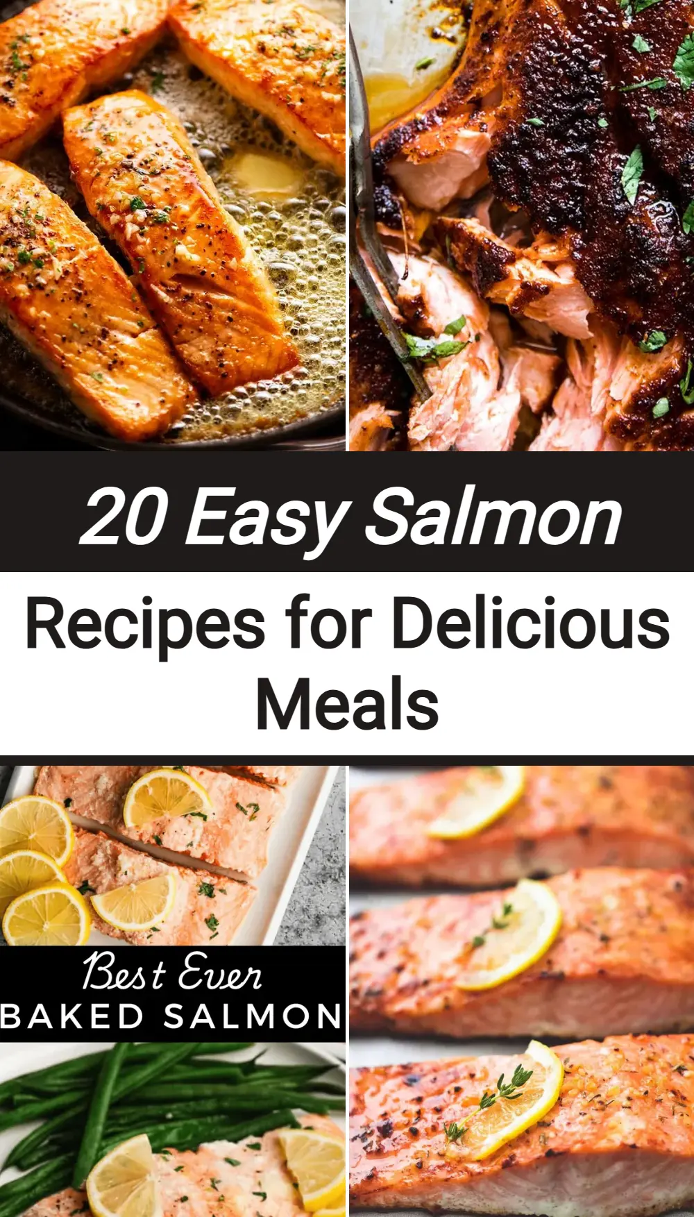 Photo of Salmon Recipes
