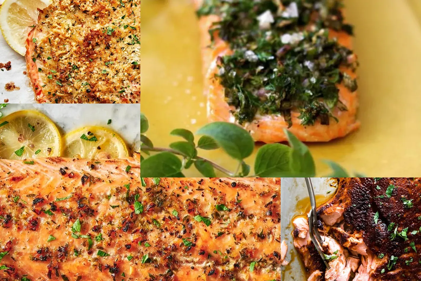 Photo of Salmon Recipes